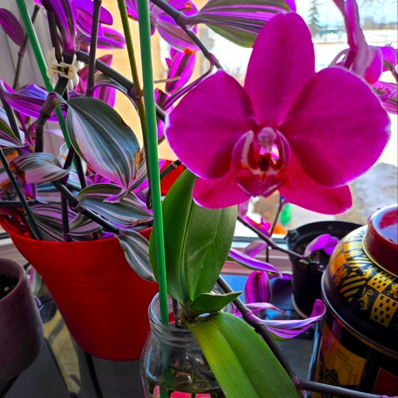 Meet your Posher, Heather - Picture 1 of 2